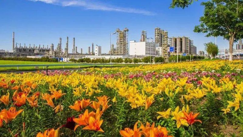 HDPE塑料原料：揭秘其规格参数背后的奥秘**